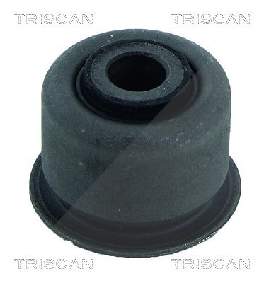 Triscan Lagerung, Lenker [Hersteller-Nr. 850028842] für Peugeot