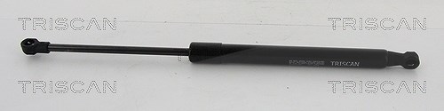 Triscan Gasfeder, Koffer-/Laderaum [Hersteller-Nr. 871021210] für Chevrolet