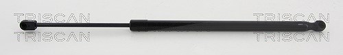 Triscan Gasfeder, Koffer-/Laderaum [Hersteller-Nr. 871080213] für Jeep
