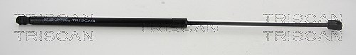 Triscan Gasfeder, Koffer-/Laderaum [Hersteller-Nr. 871014248] für Nissan