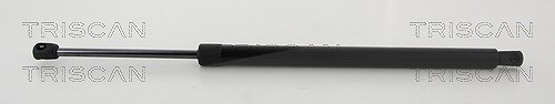 Triscan Gasfeder, Koffer-/Laderaum [Hersteller-Nr. 871080212] für Dodge