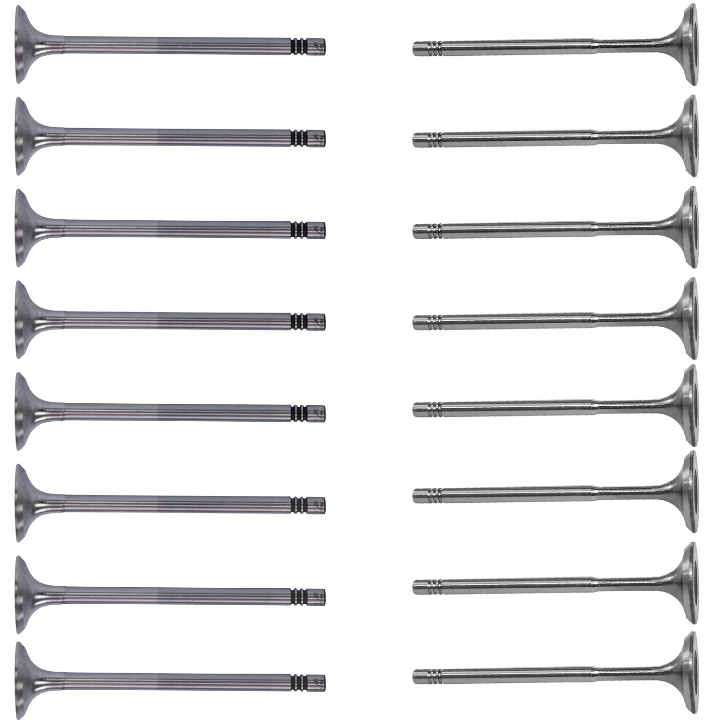 Bestprice 16 Ventile (8x Einlaß 8x Auslaß) [Hersteller-Nr. 30414843] für Audi, Skoda, VW, Seat