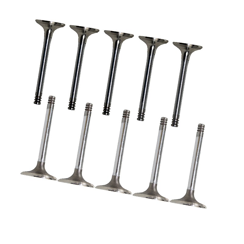 Bestprice 10 Ventile (5x Auslaß + 5x Einlaß) [Hersteller-Nr. 30414873] für VW, Audi
