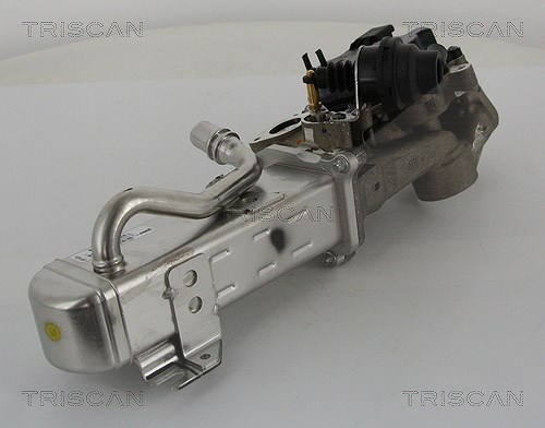 Triscan AGR-Ventil [Hersteller-Nr. 881328044] für Citroën, Peugeot