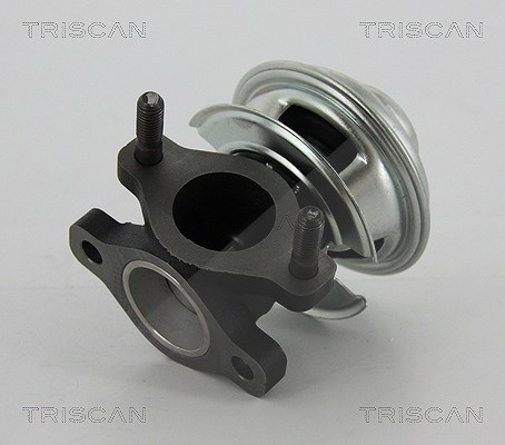 Triscan AGR-Ventil [Hersteller-Nr. 881343008] für Hyundai