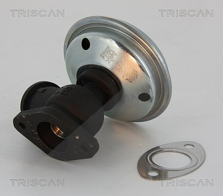 Triscan AGR-Ventil [Hersteller-Nr. 881328012] für Citroën, Peugeot