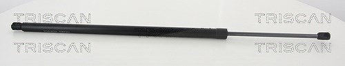 Triscan Gasfeder, Koffer-/Laderaum [Hersteller-Nr. 871080217] für Jeep