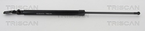 Triscan Gasfeder, Koffer-/Laderaum [Hersteller-Nr. 871068218] für Subaru