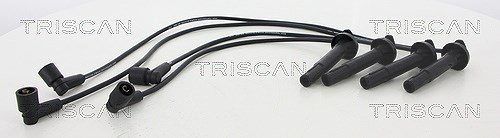 Triscan Zündleitungssatz [Hersteller-Nr. 886068011] für Subaru