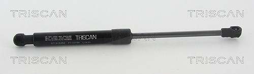 Triscan Gasfeder, Koffer-/Laderaum [Hersteller-Nr. 871015252] für Fiat, Abarth