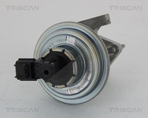 Triscan AGR-Ventil [Hersteller-Nr. 881316045] für Ford