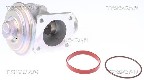 Triscan AGR-Ventil [Hersteller-Nr. 881311004] für Land Rover, BMW