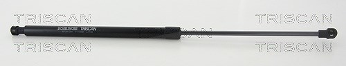Triscan Gasfeder, Koffer-/Laderaum [Hersteller-Nr. 871011241] für BMW