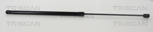Triscan Gasfeder, Koffer-/Laderaum [Hersteller-Nr. 871038245] für Citroën