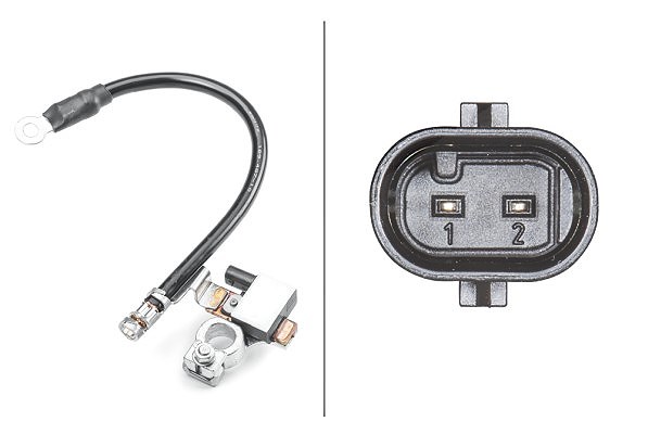 Hella Sensor, Batteriemanagement [Hersteller-Nr. 6PK011190-901] für Ford