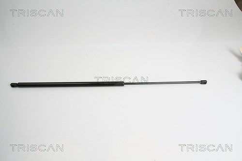 Triscan Gasfeder, Koffer-/Laderaum [Hersteller-Nr. 871015234] für Fiat