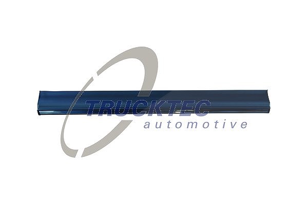Trucktec Automotive Zier-/Schutzleiste, Tür [Hersteller-Nr. 02.52.111] für Mercedes-Benz
