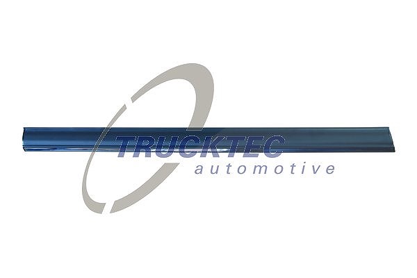 Trucktec Automotive Zier-/Schutzleiste, Tür [Hersteller-Nr. 02.52.132] für Mercedes-Benz