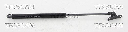 Triscan Gasfeder, Koffer-/Laderaum [Hersteller-Nr. 871013249] für Toyota