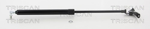 Triscan Gasfeder, Koffer-/Laderaum [Hersteller-Nr. 871013250] für Toyota