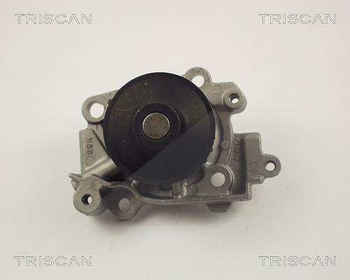 Triscan Wasserpumpe [Hersteller-Nr. 860042005] für Mitsubishi