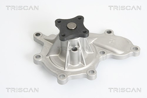Triscan Wasserpumpe [Hersteller-Nr. 860014015] für Nissan