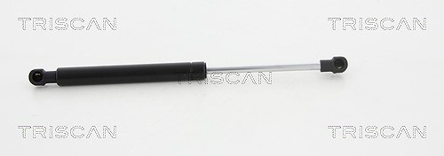 Triscan Gasfeder, Motorhaube [Hersteller-Nr. 871023119] für Smart