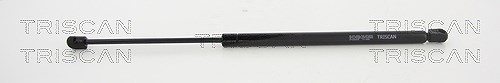 Triscan Gasfeder, Koffer-/Laderaum [Hersteller-Nr. 871023232] für Smart