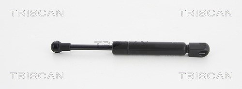 Triscan Gasfeder, Koffer-/Laderaum [Hersteller-Nr. 871029298] für VW