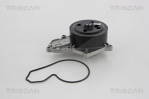 Triscan Wasserpumpe [Hersteller-Nr. 860040116] für Honda