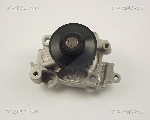 Triscan Wasserpumpe [Hersteller-Nr. 860042010] für Mitsubishi, Volvo
