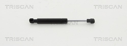 Triscan Gasfeder, Koffer-/Laderaum [Hersteller-Nr. 871016256] für Ford