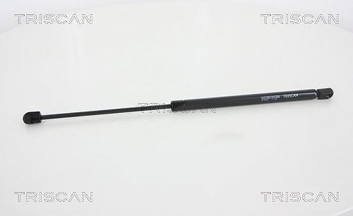Triscan Gasfeder, Heckscheibe [Hersteller-Nr. 871028246] für Peugeot