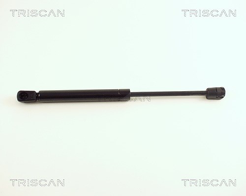 Triscan Gasfeder, Koffer-/Laderaum [Hersteller-Nr. 871029248] für Audi