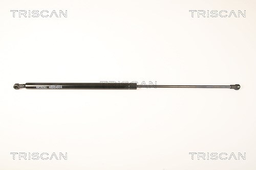 Triscan Gasfeder, Heckscheibe [Hersteller-Nr. 871028239] für Peugeot
