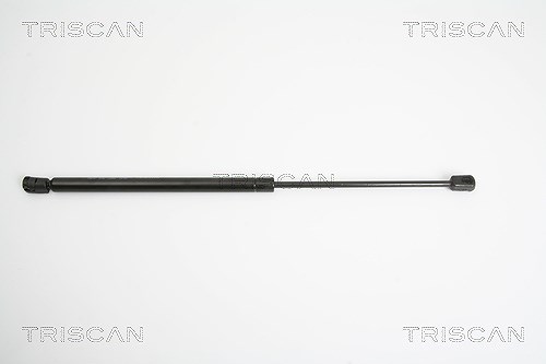 Triscan Gasfeder, Koffer-/Laderaum [Hersteller-Nr. 871029245] für Audi