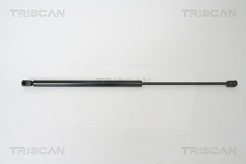 Triscan Gasfeder, Koffer-/Laderaum [Hersteller-Nr. 871042234] für Mitsubishi