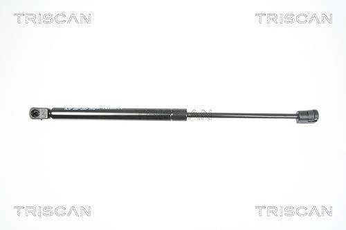 Triscan Gasfeder, Koffer-/Laderaum [Hersteller-Nr. 871025238] für Renault