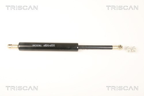 Triscan Gasfeder, Koffer-/Laderaum [Hersteller-Nr. 871040231] für Honda
