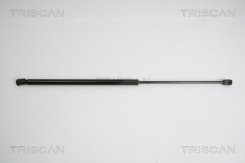 Triscan Gasfeder, Heckscheibe [Hersteller-Nr. 871038223] für Citroën