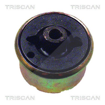 Triscan Lagerung, Lenker [Hersteller-Nr. 850016820] für Ford, Jaguar