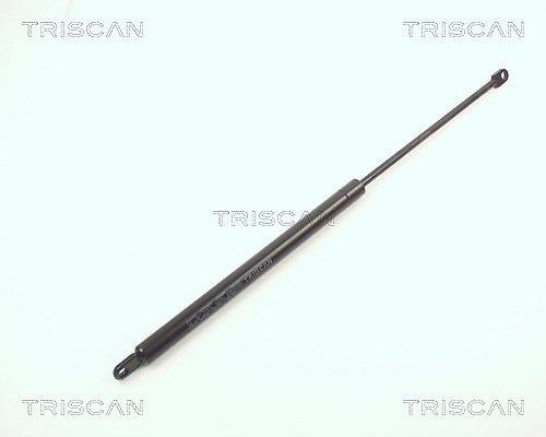 Triscan Gasfeder, Koffer-/Laderaum [Hersteller-Nr. 87106502] für Saab