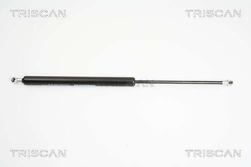 Triscan Gasfeder, Koffer-/Laderaum [Hersteller-Nr. 871029276] für Audi