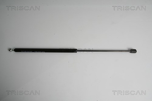 Triscan Gasfeder, Koffer-/Laderaum [Hersteller-Nr. 871043227] für Hyundai