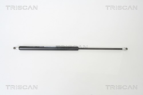 Triscan Gasfeder, Koffer-/Laderaum [Hersteller-Nr. 871043215] für Hyundai