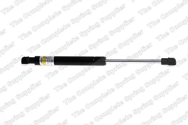 Lesjöfors Gasfeder, Koffer-/Laderaum [Hersteller-Nr. 8127554] für Ford