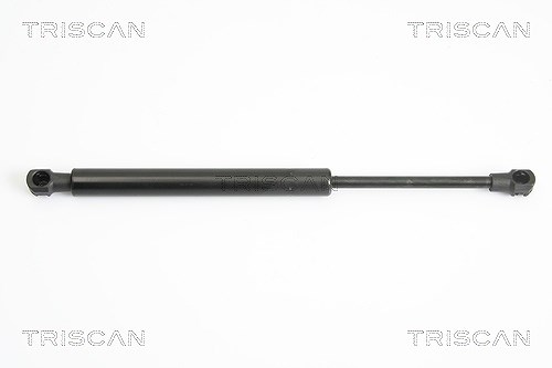 Triscan Gasfeder, Koffer-/Laderaum [Hersteller-Nr. 871011229] für BMW