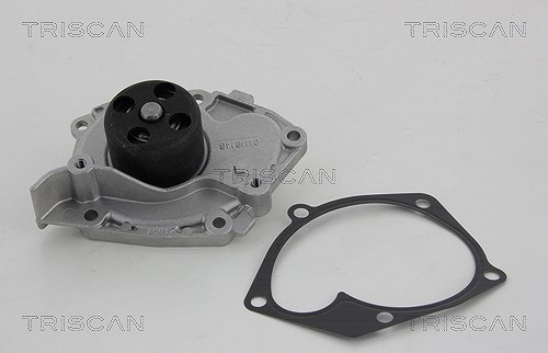 Triscan Wasserpumpe [Hersteller-Nr. 860010038] für Renault