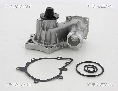 Triscan Wasserpumpe [Hersteller-Nr. 860011037] für BMW