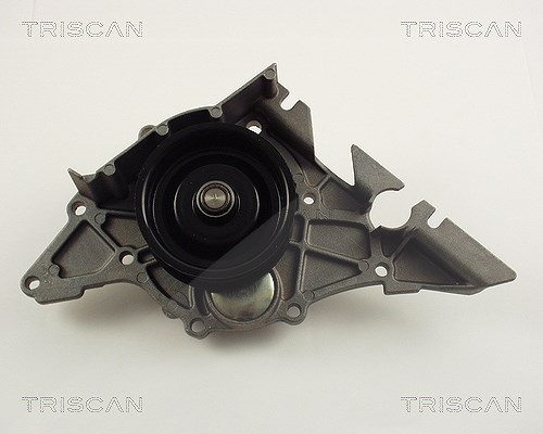 Triscan Wasserpumpe [Hersteller-Nr. 860029029] für Audi